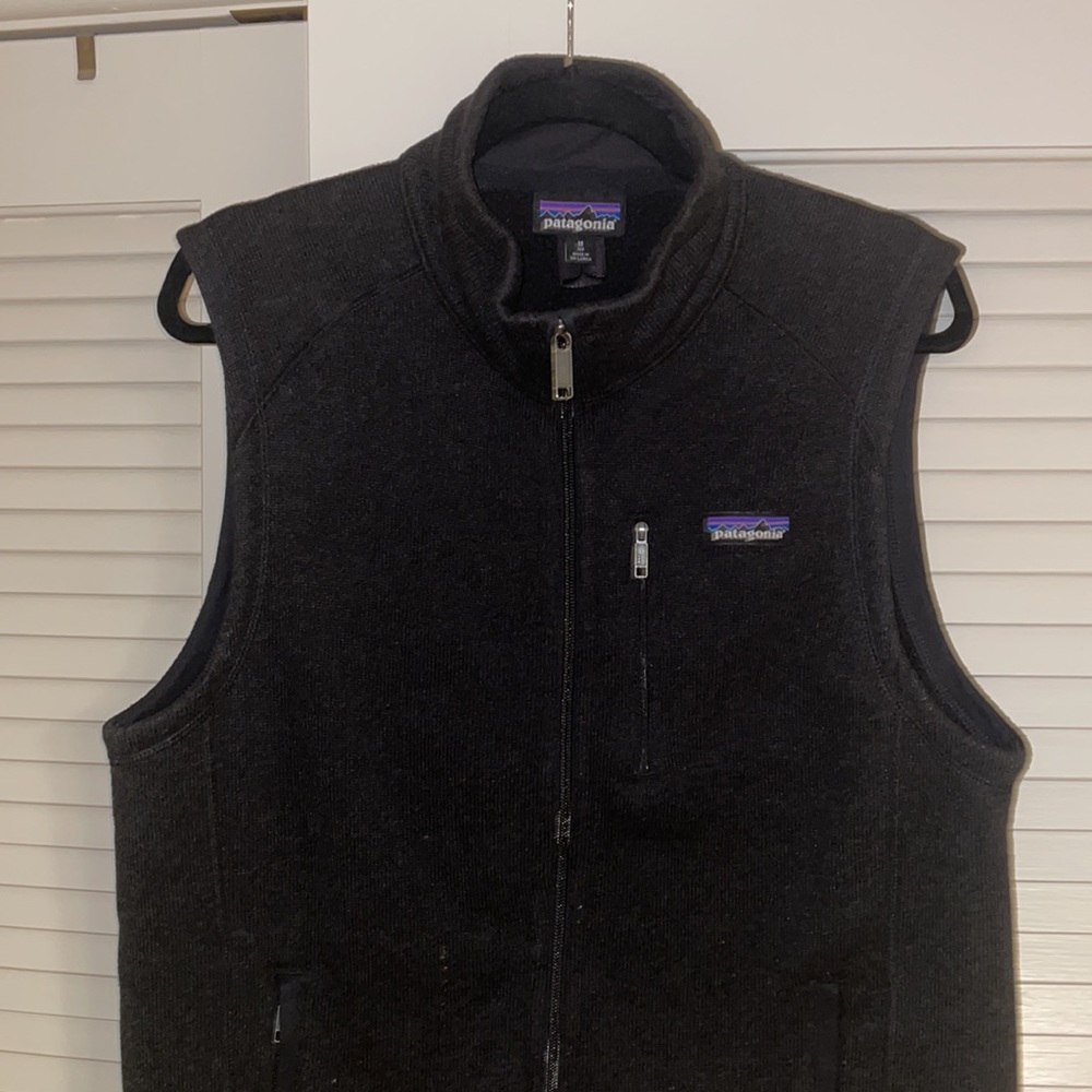 Patagonia Fleece Puffer